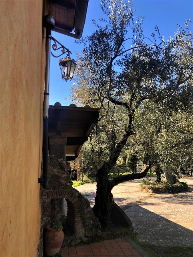 Vila Casale L'Antica Mola Castel Madama Exteriér fotografie