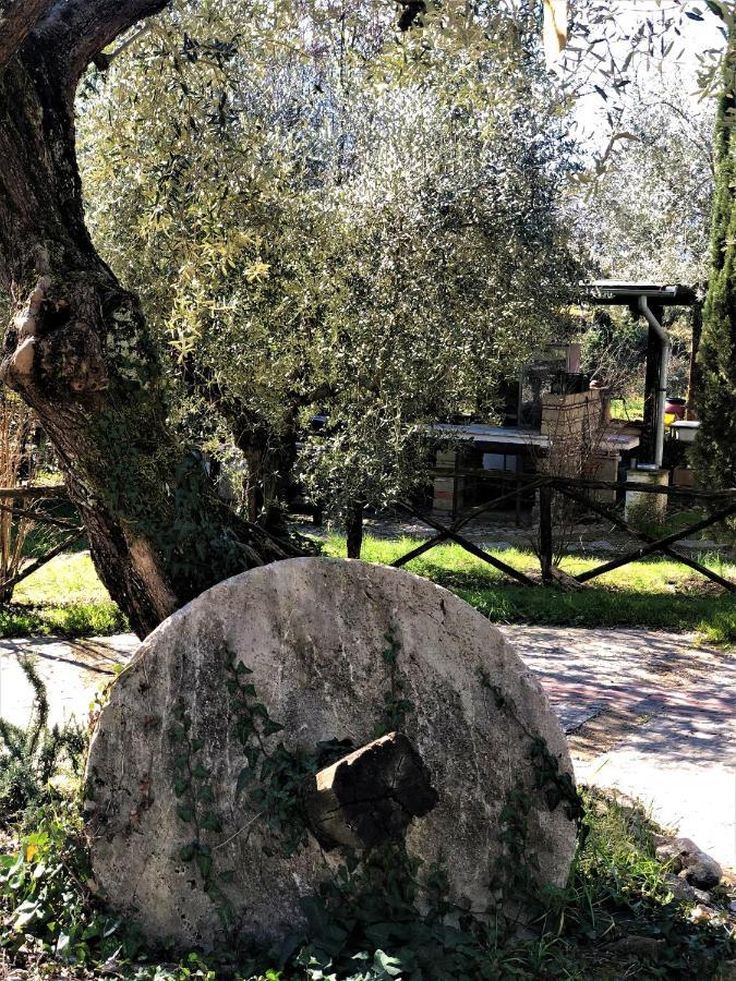 Vila Casale L'Antica Mola Castel Madama Exteriér fotografie